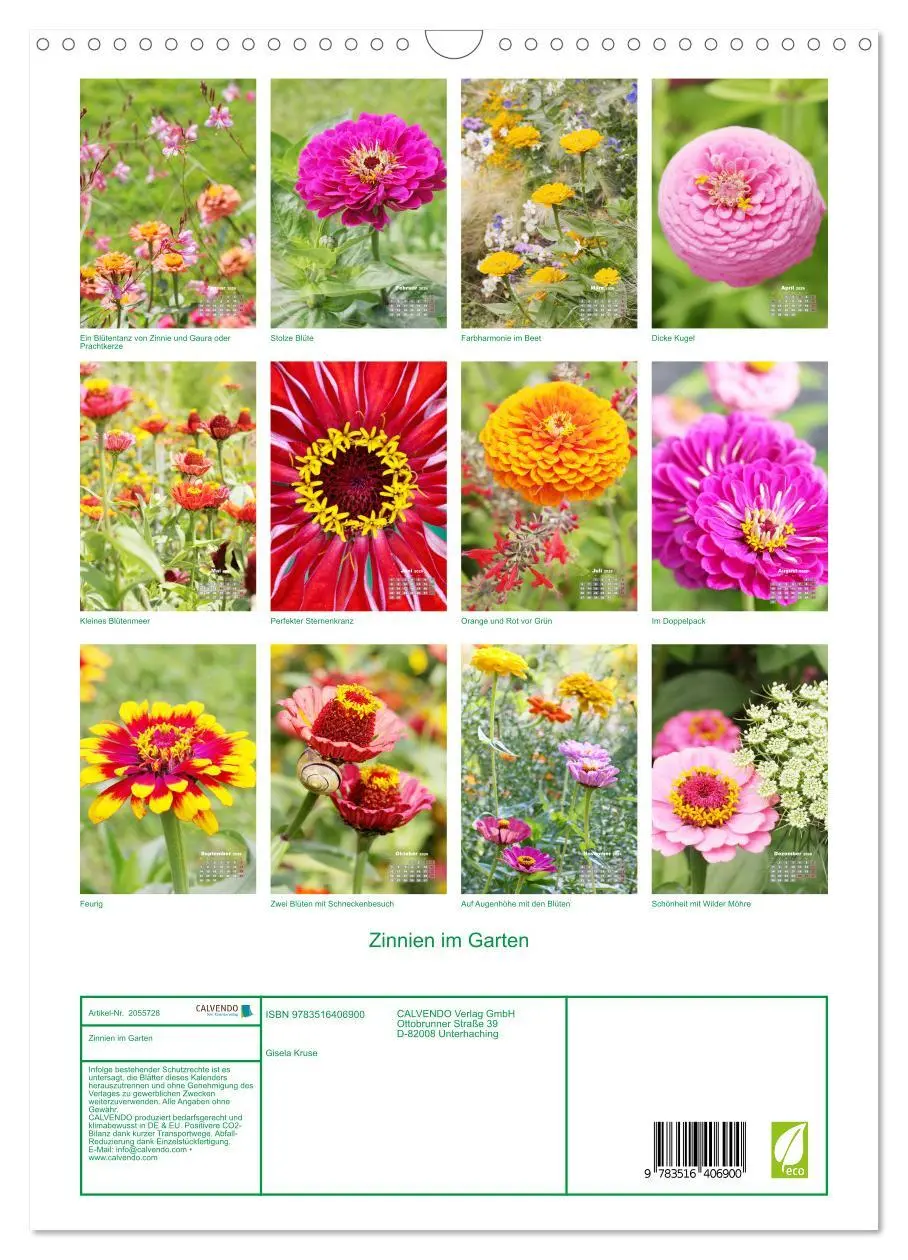 Bild: 9783516406900 | Zinnien im Garten (Wandkalender 2026 DIN A3 hoch), CALVENDO...