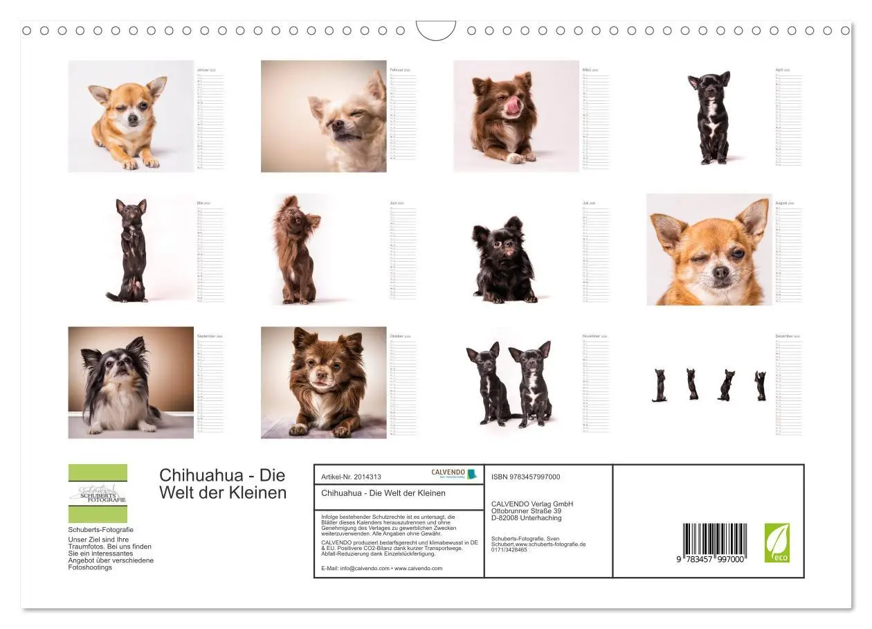 Bild: 9783457997000 | Chihuahua - Die Welt der Kleinen (Wandkalender 2026 DIN A3 quer),...