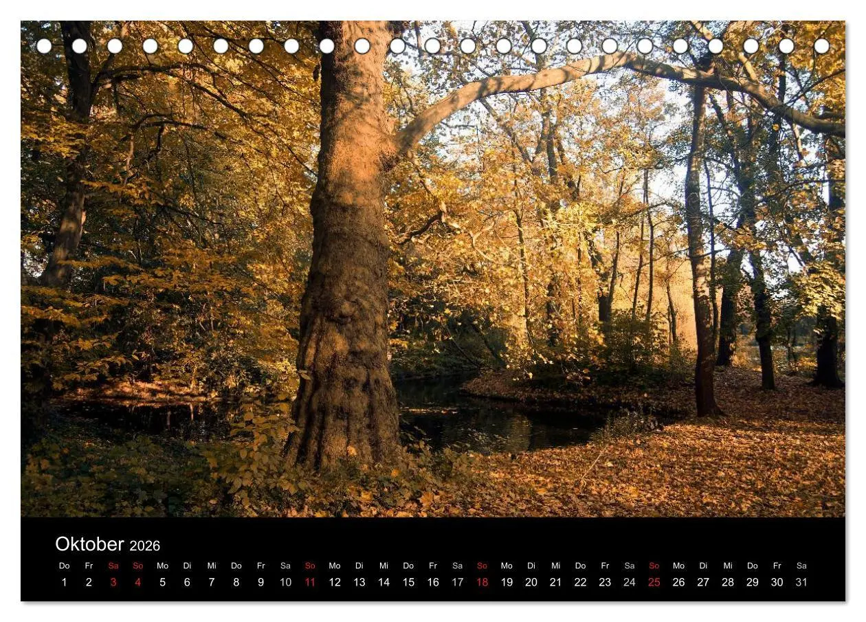Bild: 9783516157000 | Düsseldorf 2026 (Tischkalender 2026 DIN A5 quer), CALVENDO...