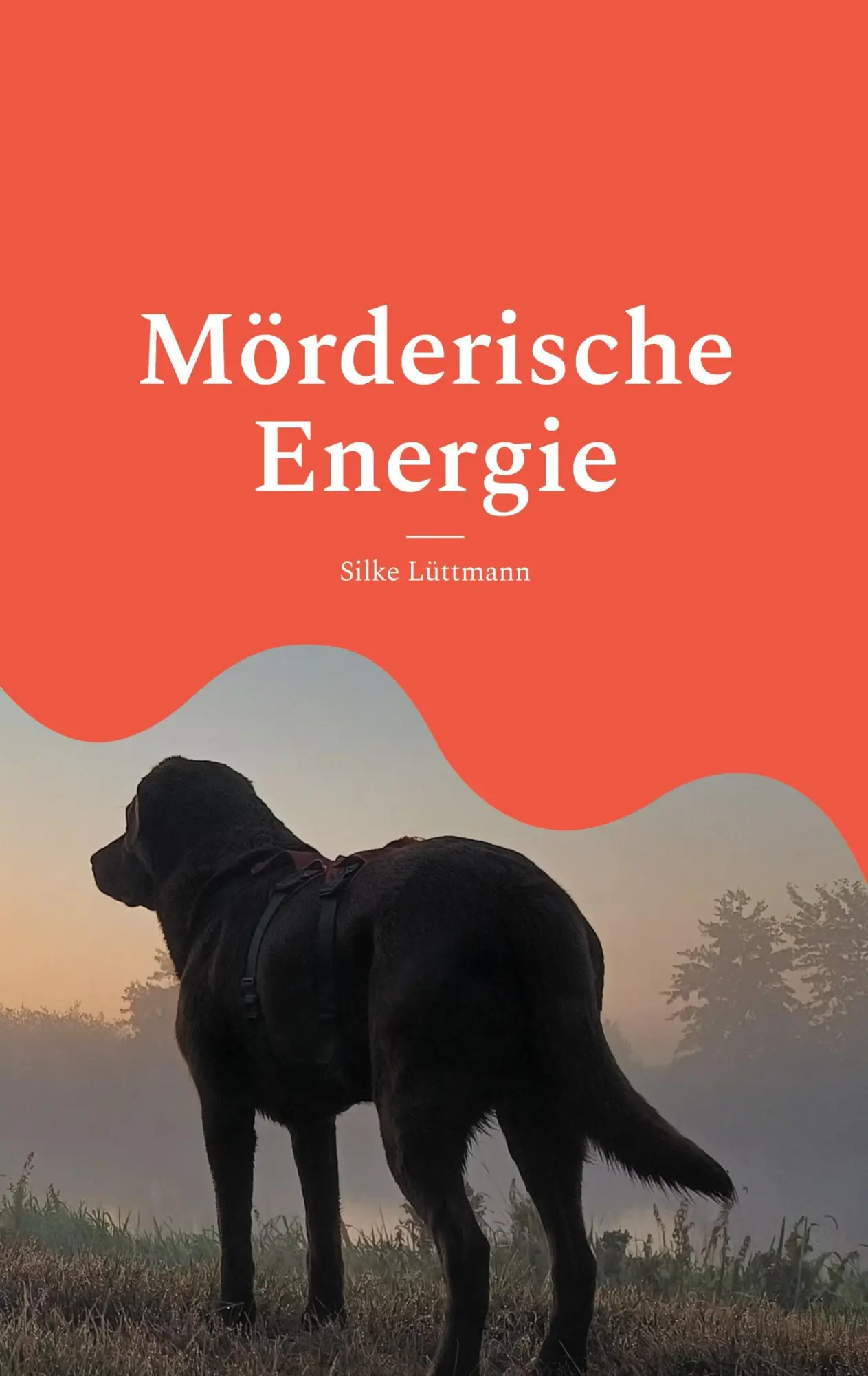 Cover: 9783695117000 | Mörderische Energie | Ein todernster Job | Silke Lüttmann | Buch