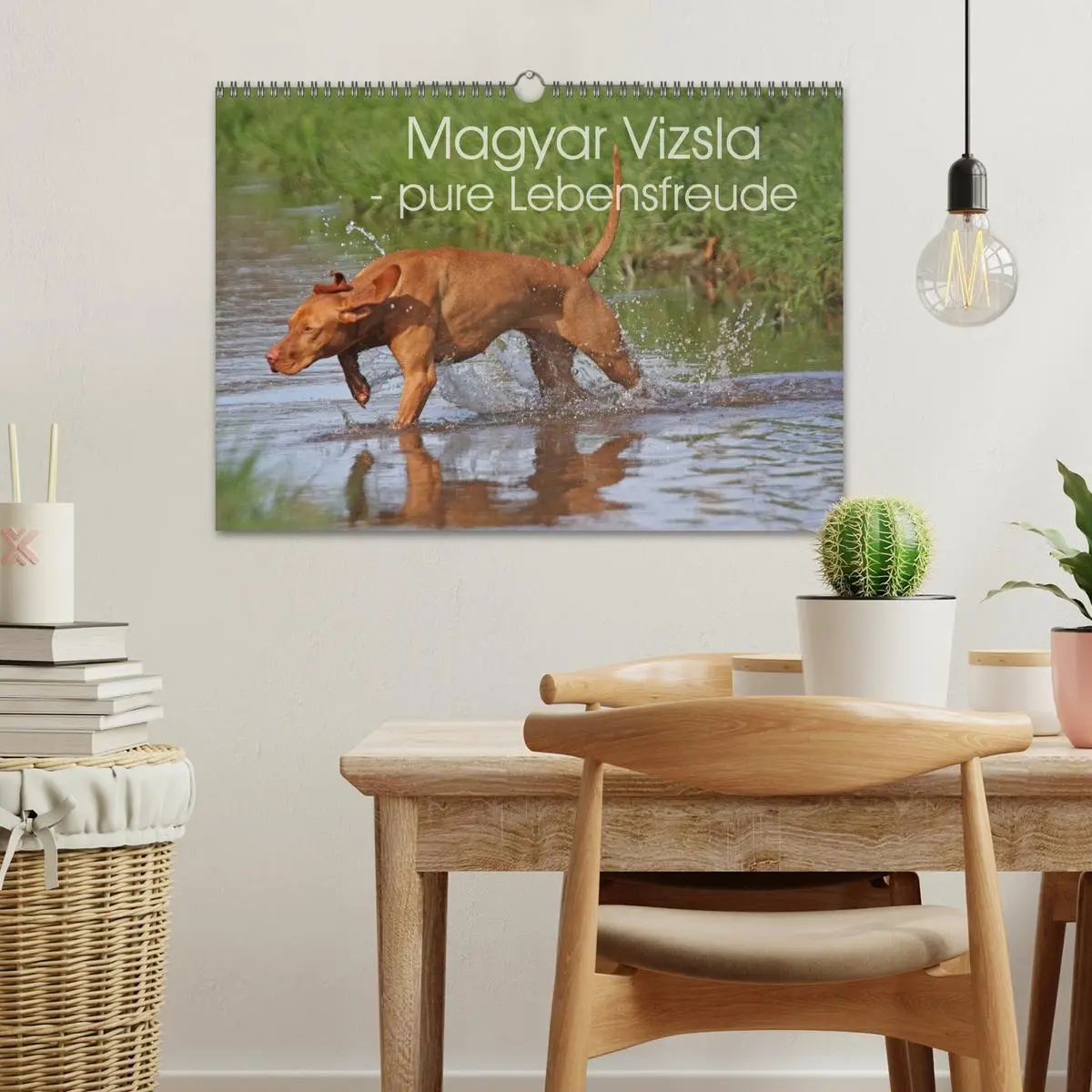 Bild: 9783516077100 | Magyar Vizsla - pure Lebensfreude (Wandkalender 2026 DIN A3 quer),...