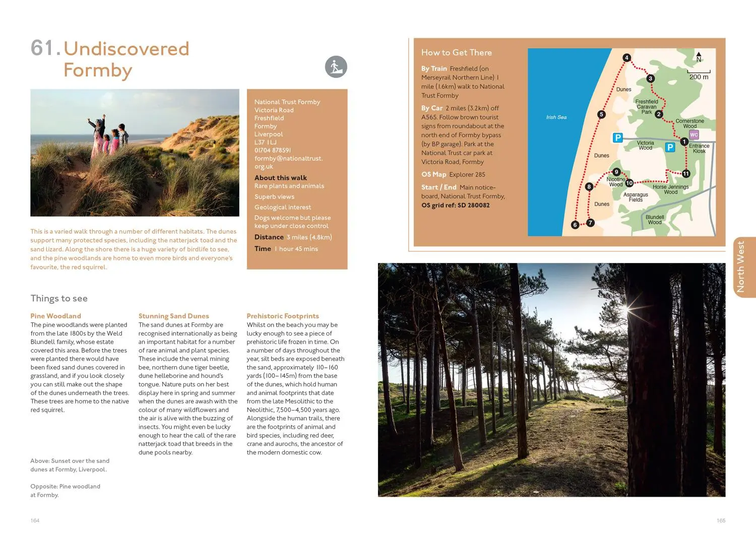 Bild: 9781911657200 | 100 Nature Walks | National Trust | Taschenbuch | Englisch | 2021