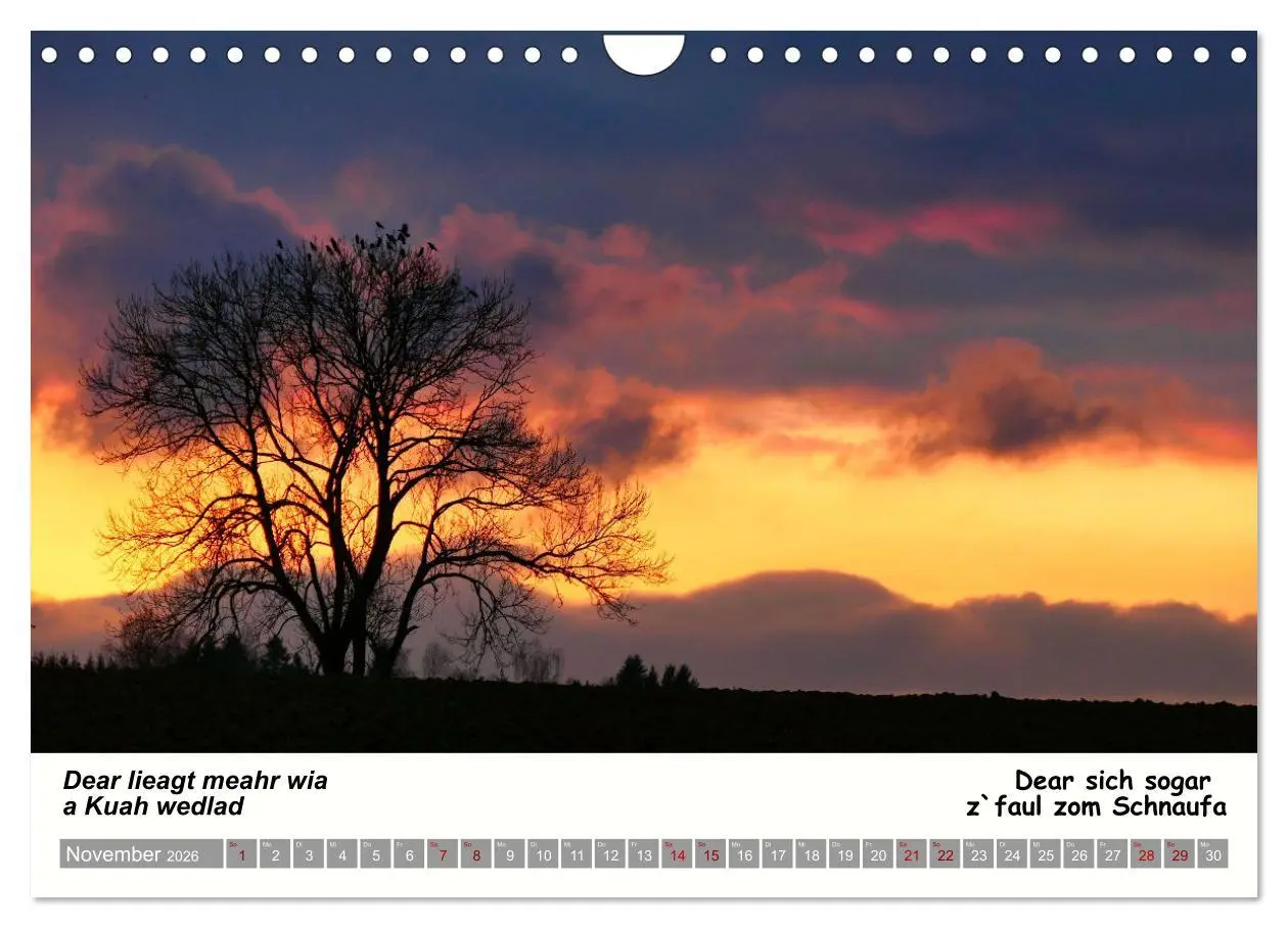 Bild: 9783457287200 | 03 Schwäbische Sprichwörter - Dös au no! (Wandkalender 2026 DIN A4...