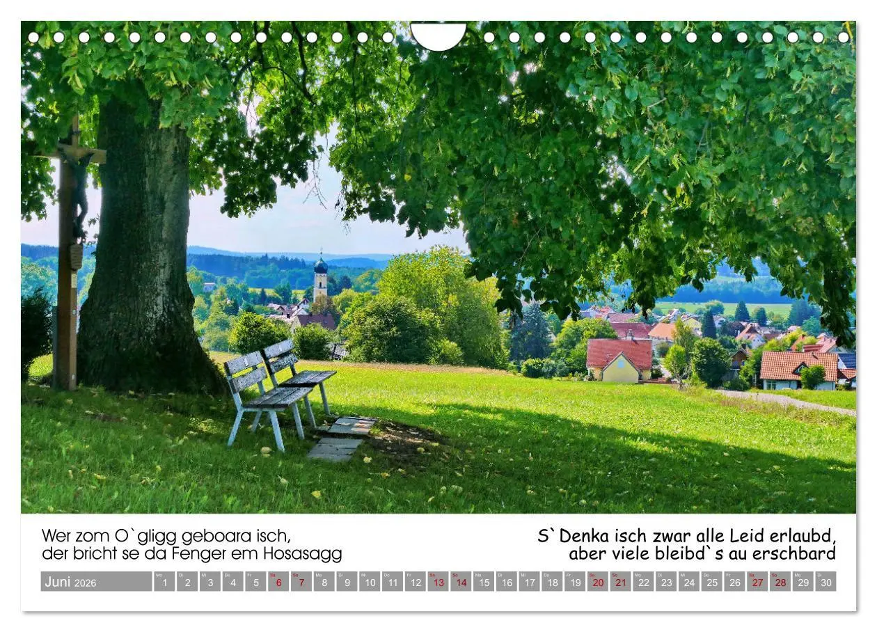 Bild: 9783457287200 | 03 Schwäbische Sprichwörter - Dös au no! (Wandkalender 2026 DIN A4...