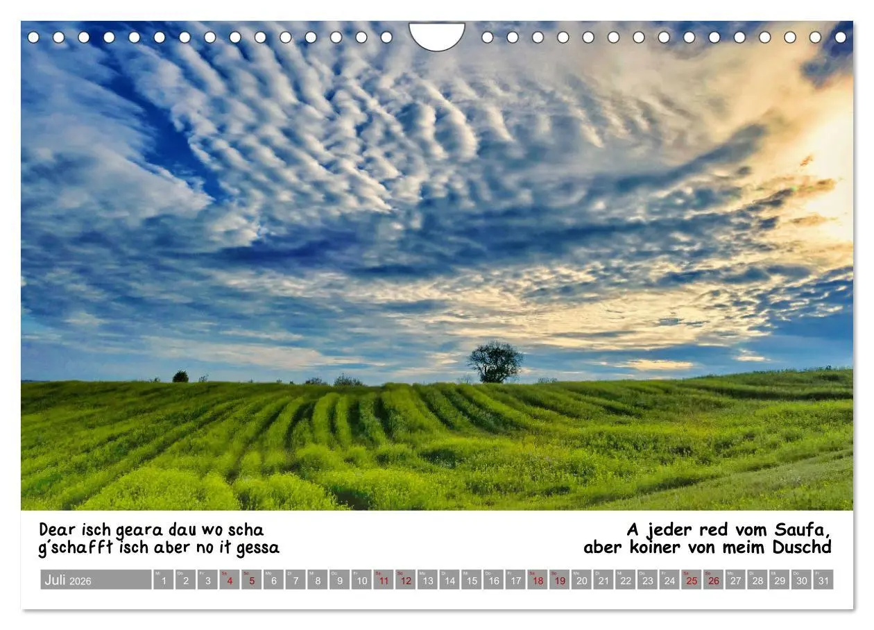 Bild: 9783457287200 | 03 Schwäbische Sprichwörter - Dös au no! (Wandkalender 2026 DIN A4...