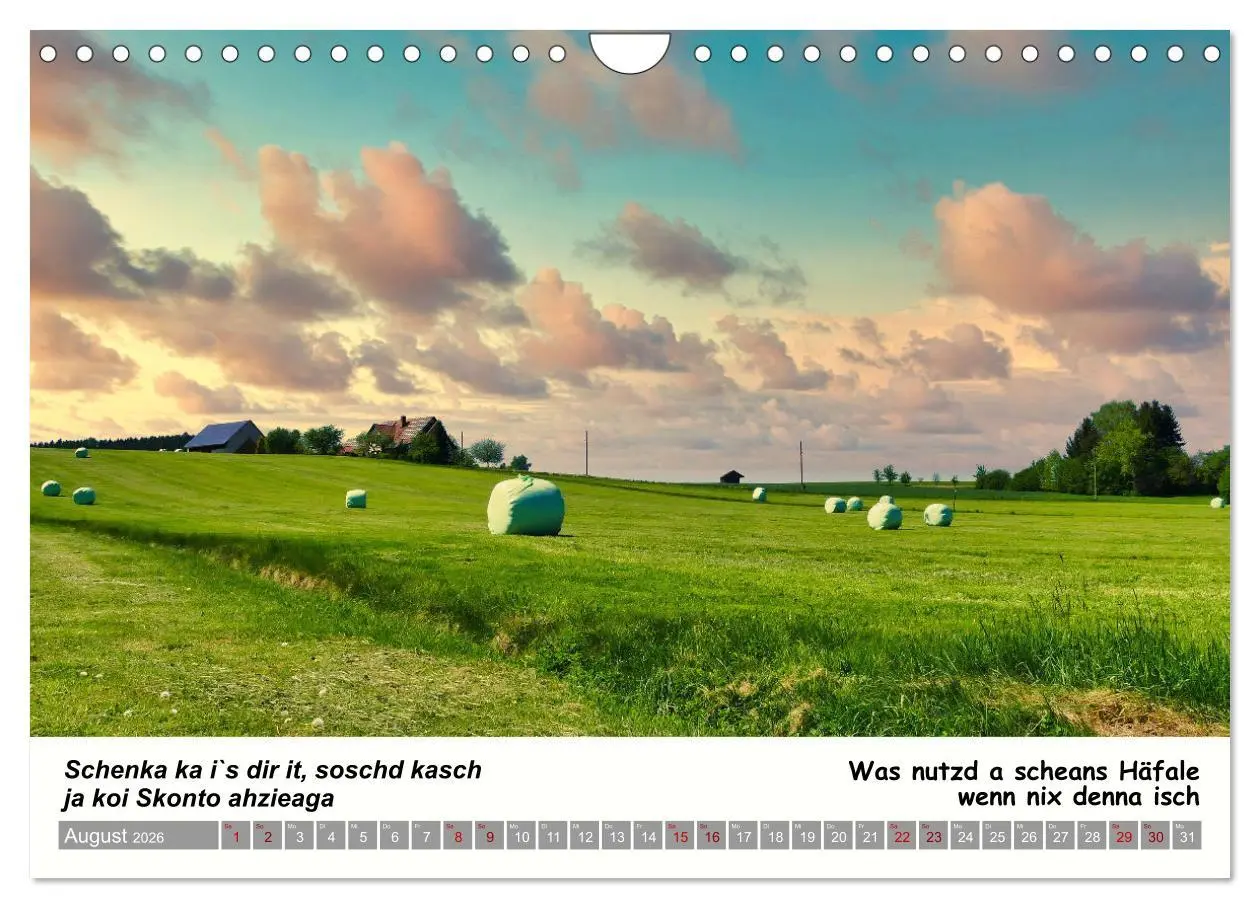 Bild: 9783457287200 | 03 Schwäbische Sprichwörter - Dös au no! (Wandkalender 2026 DIN A4...