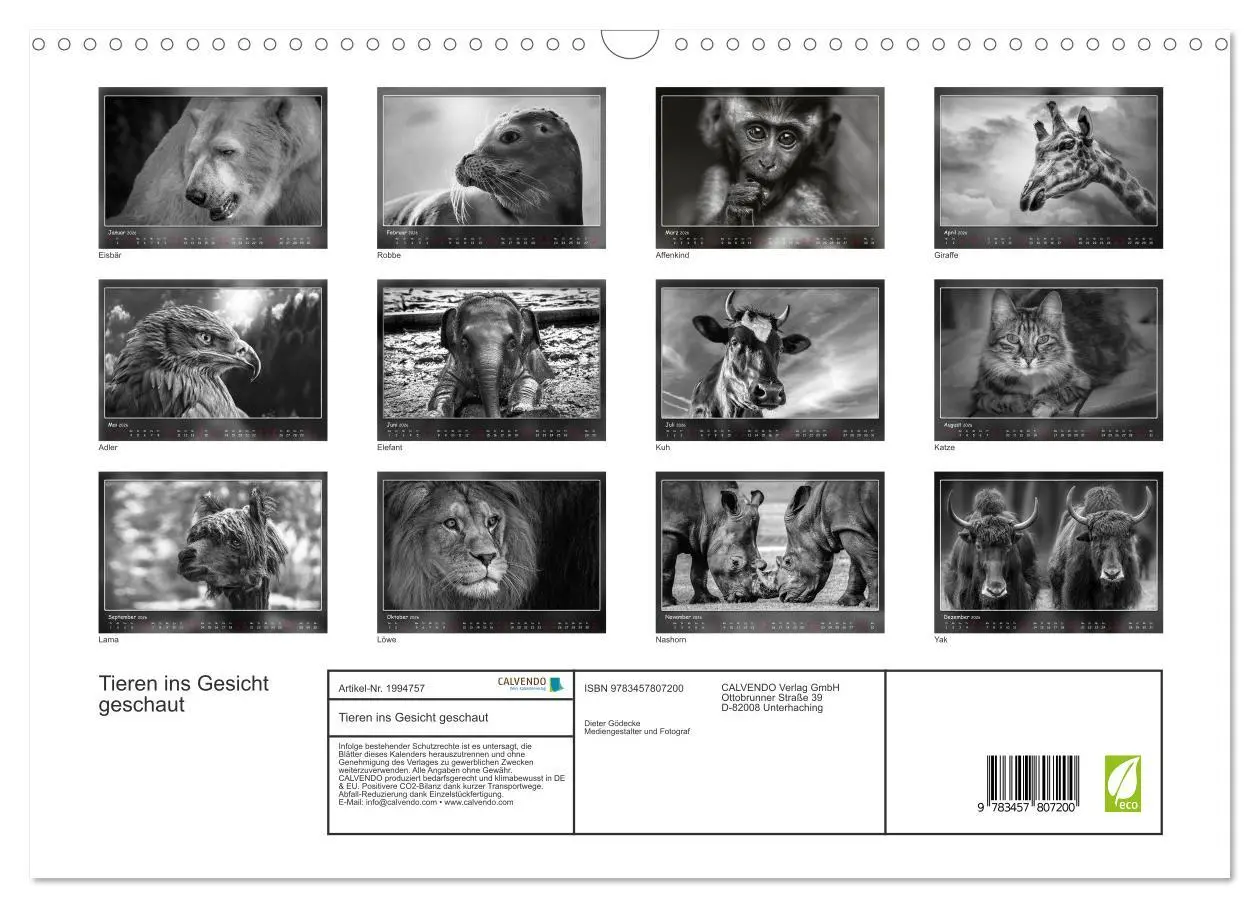 Bild: 9783457807200 | Tieren ins Gesicht geschaut (Wandkalender 2026 DIN A3 quer),...