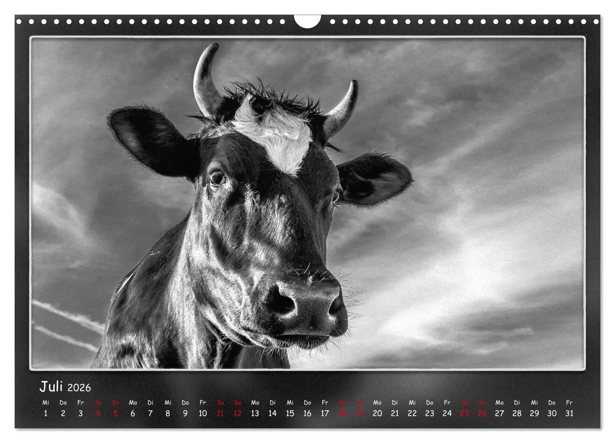 Bild: 9783457807200 | Tieren ins Gesicht geschaut (Wandkalender 2026 DIN A3 quer),...