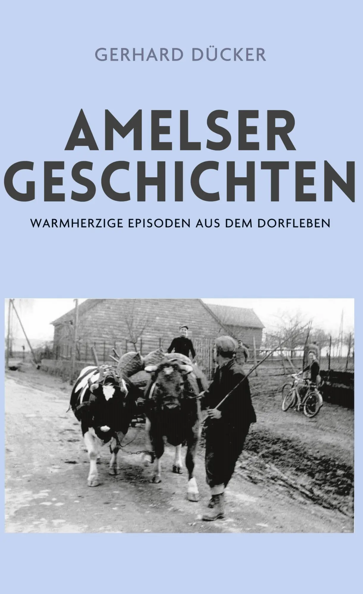 Cover: 9783695197200 | Amelser Geschichten | Warmherzige Episoden aus dem Dorfleben | Dücker