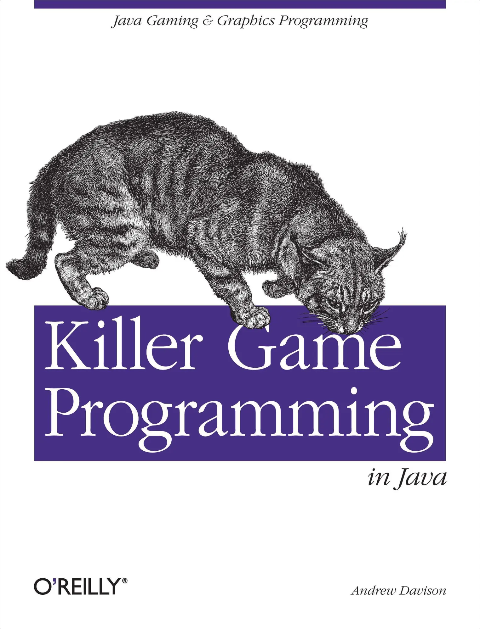 Cover: 9780596007300 | Killer Game Programming in Java | Andrew Davison | Taschenbuch | 2005