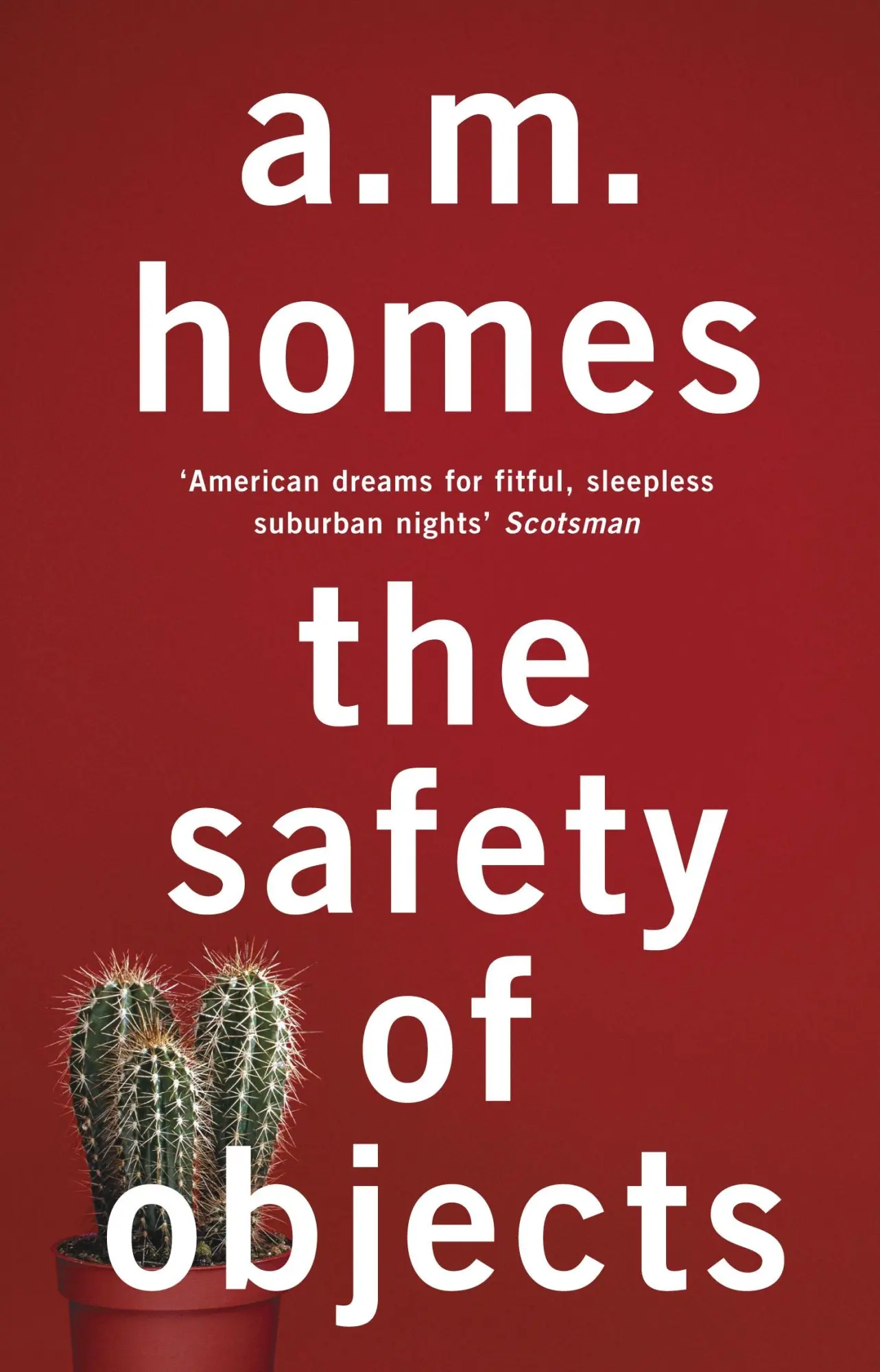 Cover: 9781847087300 | The Safety Of Objects | A. M. Homes | Taschenbuch | Englisch | 2013
