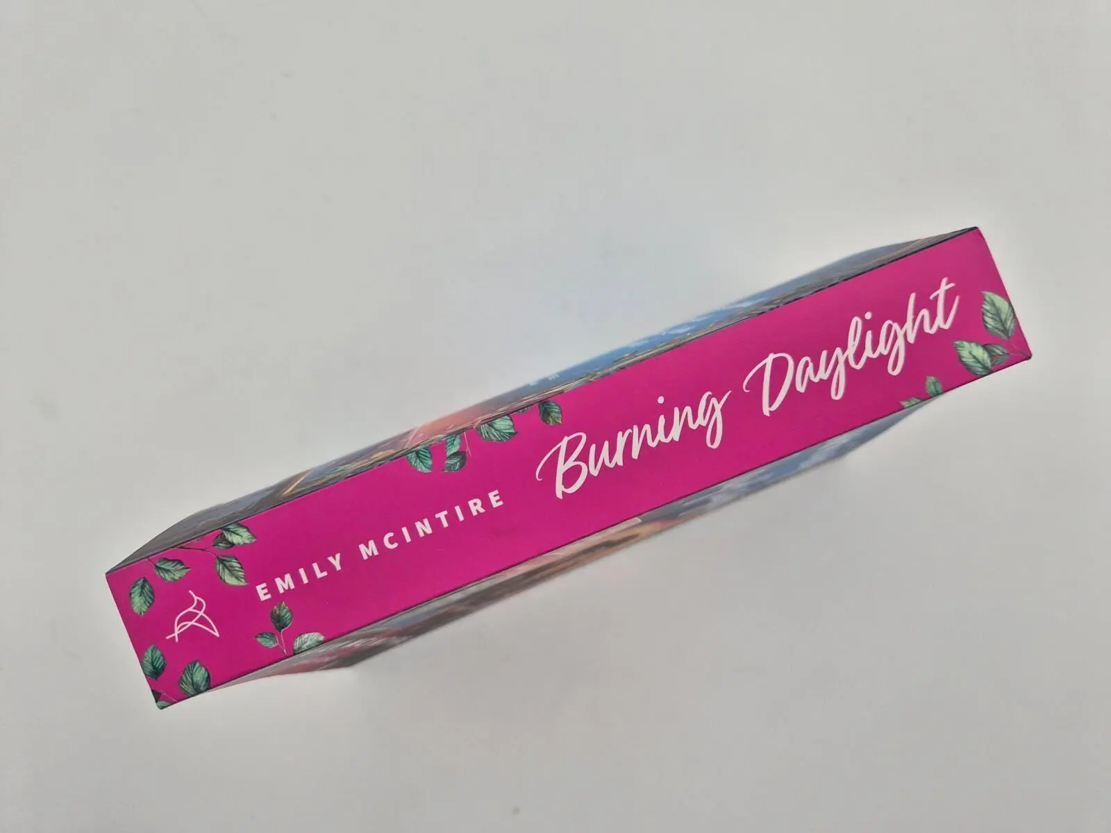 Bild: 9783492067300 | Burning Daylight | Emily McIntire | Taschenbuch | 528 S. | Deutsch