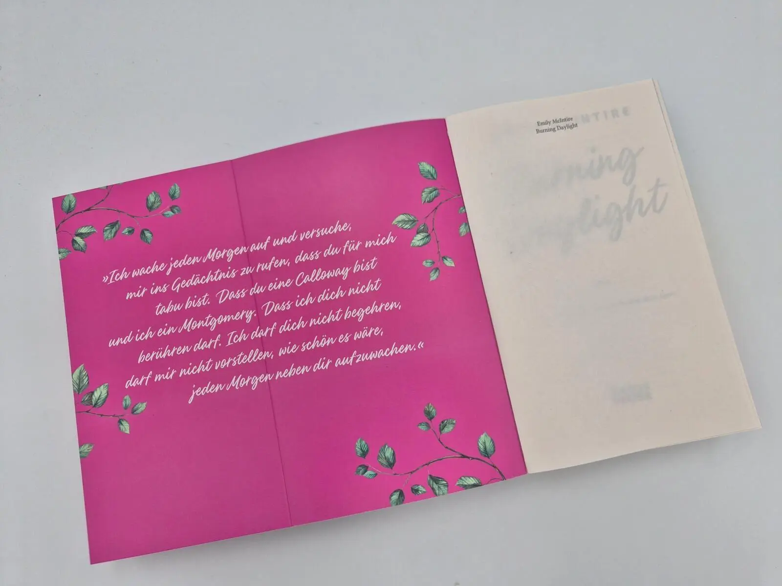 Bild: 9783492067300 | Burning Daylight | Emily McIntire | Taschenbuch | 528 S. | Deutsch