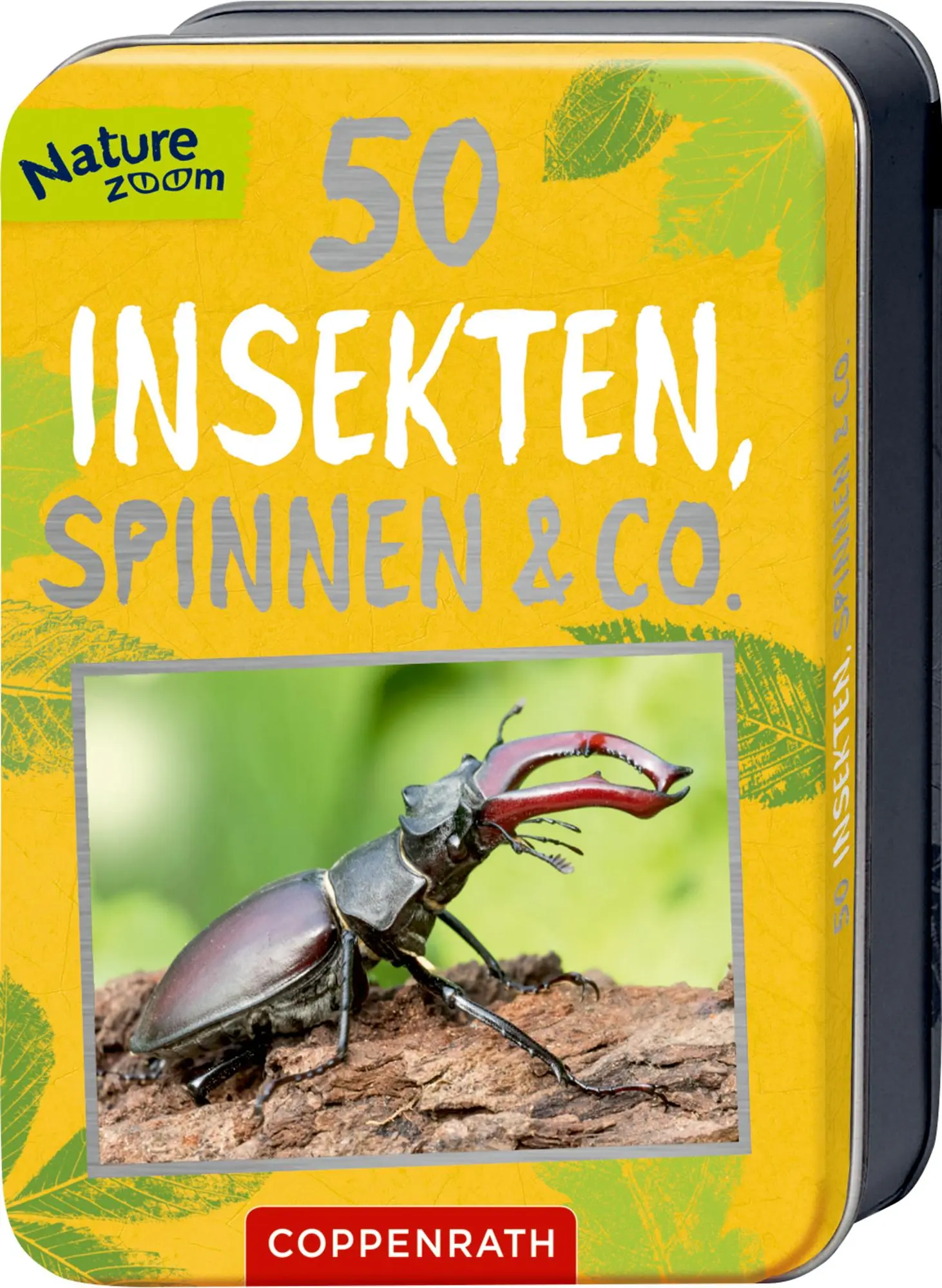 Cover: 9783649647300 | 50 Insekten, Spinnen &amp; Co. | Holger Haag | Taschenbuch | Nature Zoom