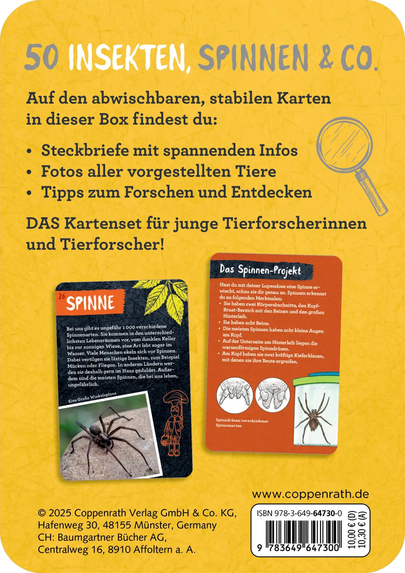 Rückseite: 9783649647300 | 50 Insekten, Spinnen &amp; Co. | Holger Haag | Taschenbuch | Nature Zoom