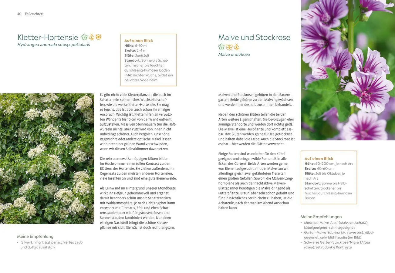 Bild: 9783818627300 | Der Nachtgarten | Lena Landefeld | Taschenbuch | 144 S. | Deutsch