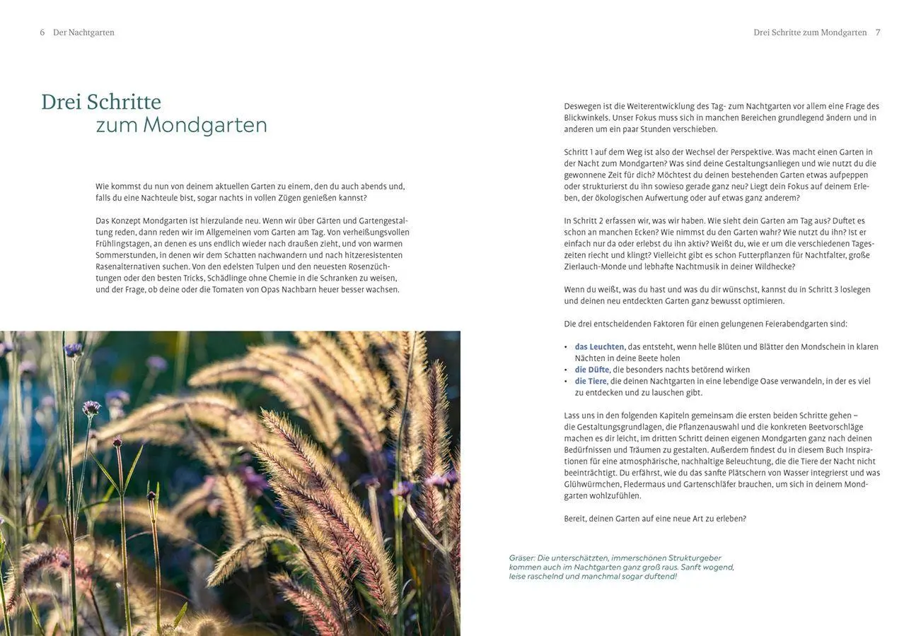 Bild: 9783818627300 | Der Nachtgarten | Lena Landefeld | Taschenbuch | 144 S. | Deutsch
