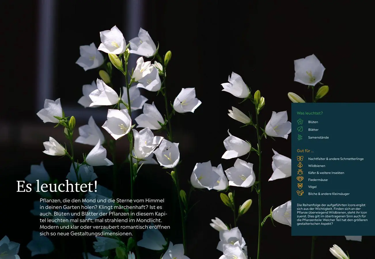 Bild: 9783818627300 | Der Nachtgarten | Lena Landefeld | Taschenbuch | 144 S. | Deutsch