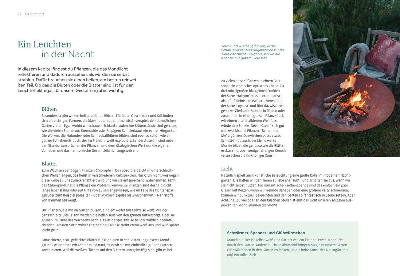 Bild: 9783818627300 | Der Nachtgarten | Lena Landefeld | Taschenbuch | 144 S. | Deutsch