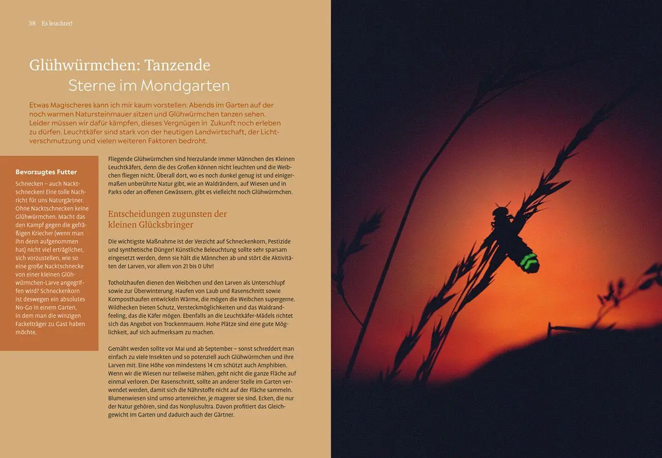 Bild: 9783818627300 | Der Nachtgarten | Lena Landefeld | Taschenbuch | 144 S. | Deutsch