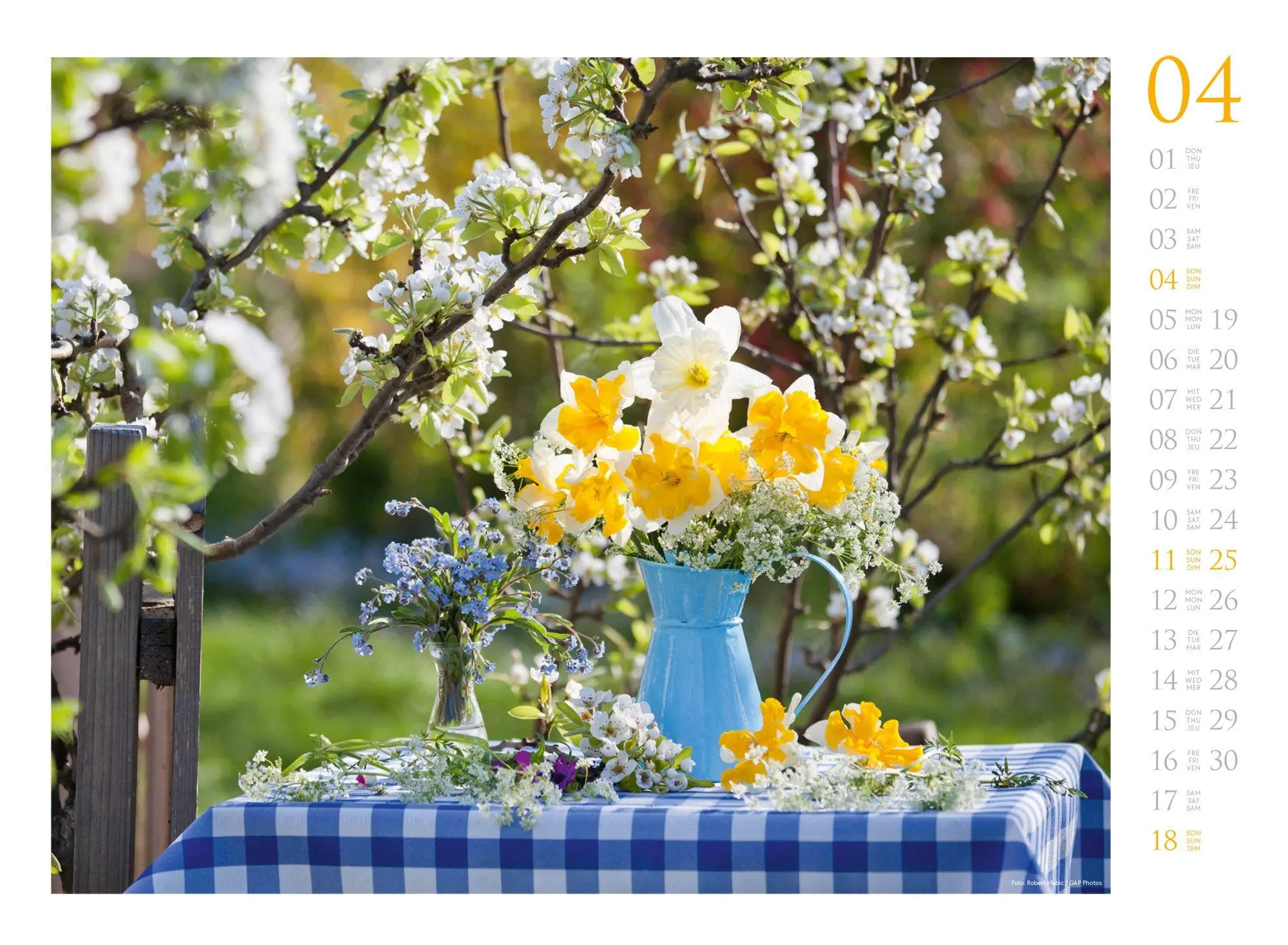 Bild: 9783838427300 | Blumenzauber Kalender 2027 | Ackermann Kunstverlag GmbH | Kalender