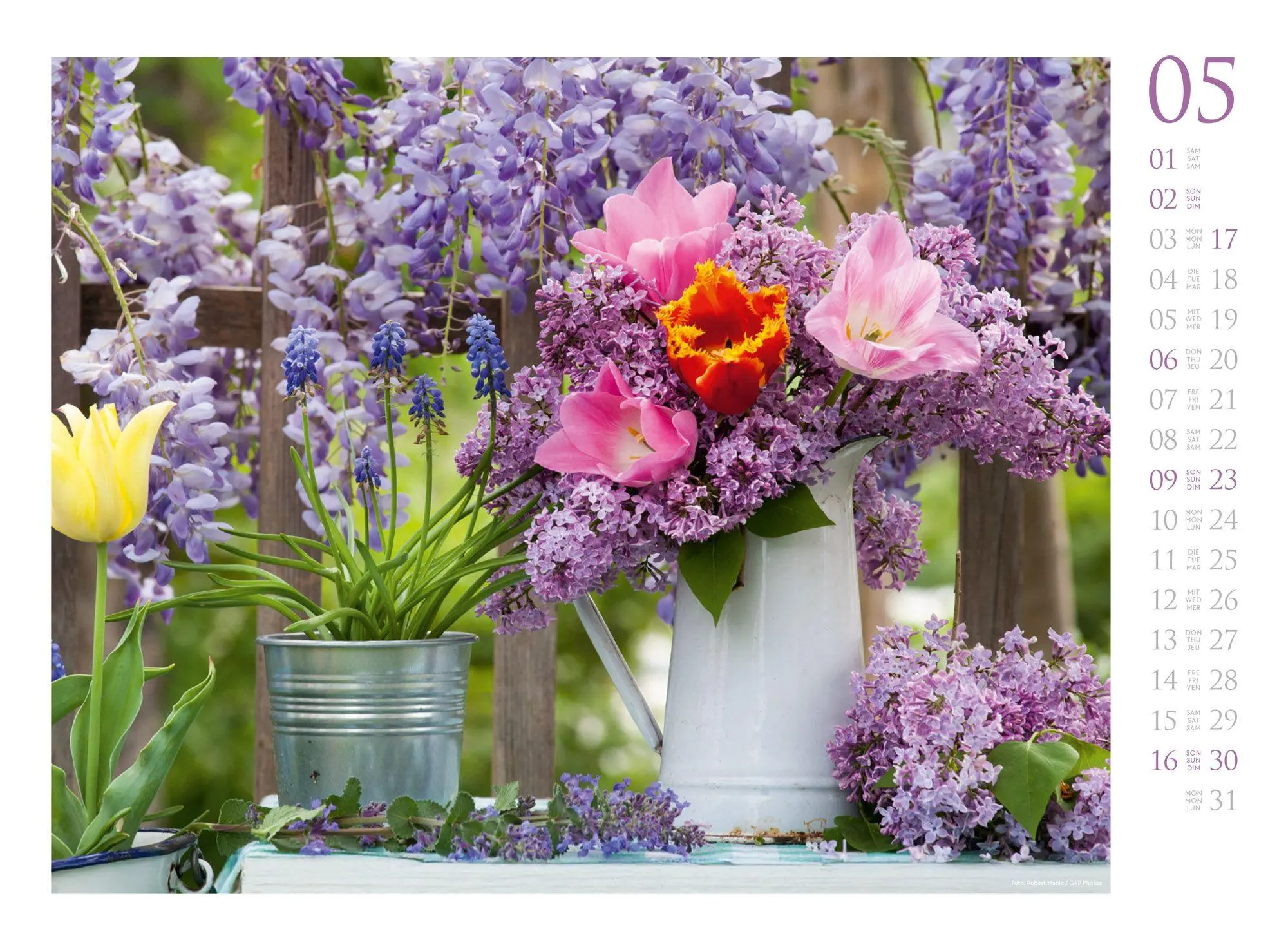 Bild: 9783838427300 | Blumenzauber Kalender 2027 | Ackermann Kunstverlag GmbH | Kalender