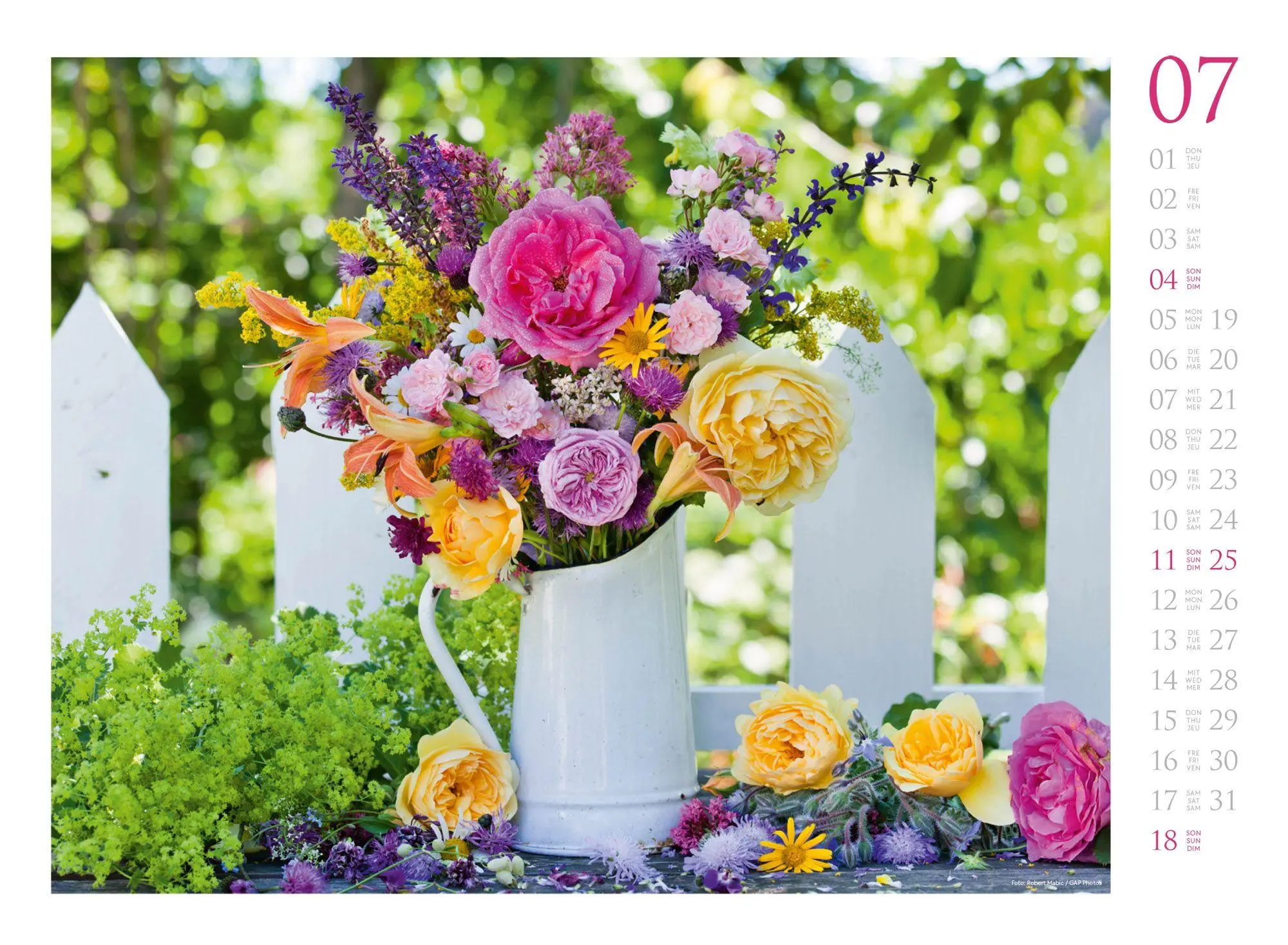 Bild: 9783838427300 | Blumenzauber Kalender 2027 | Ackermann Kunstverlag GmbH | Kalender