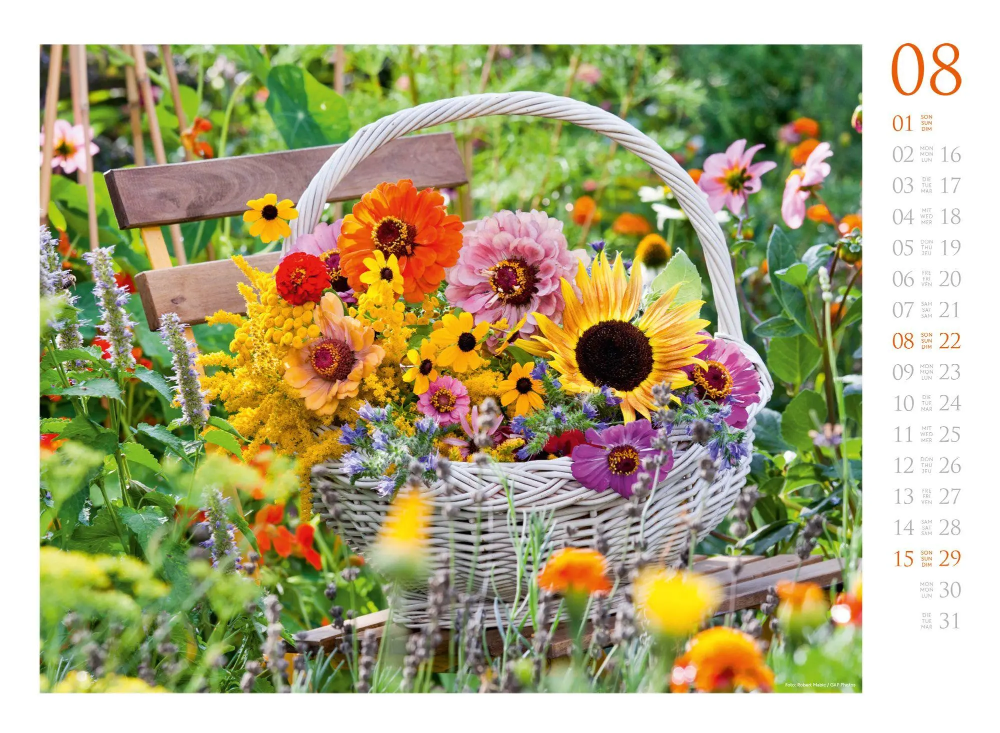 Bild: 9783838427300 | Blumenzauber Kalender 2027 | Ackermann Kunstverlag GmbH | Kalender