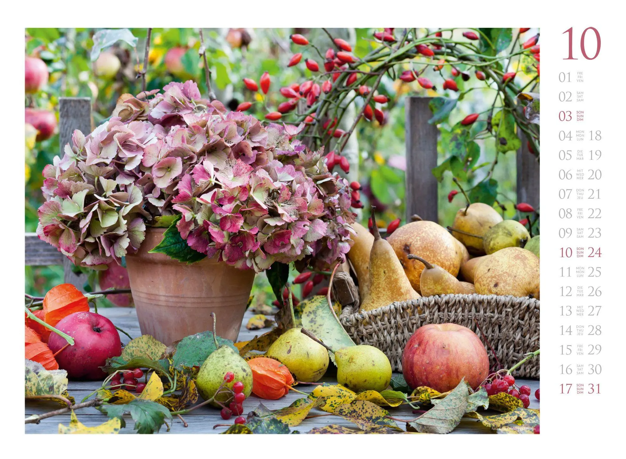 Bild: 9783838427300 | Blumenzauber Kalender 2027 | Ackermann Kunstverlag GmbH | Kalender