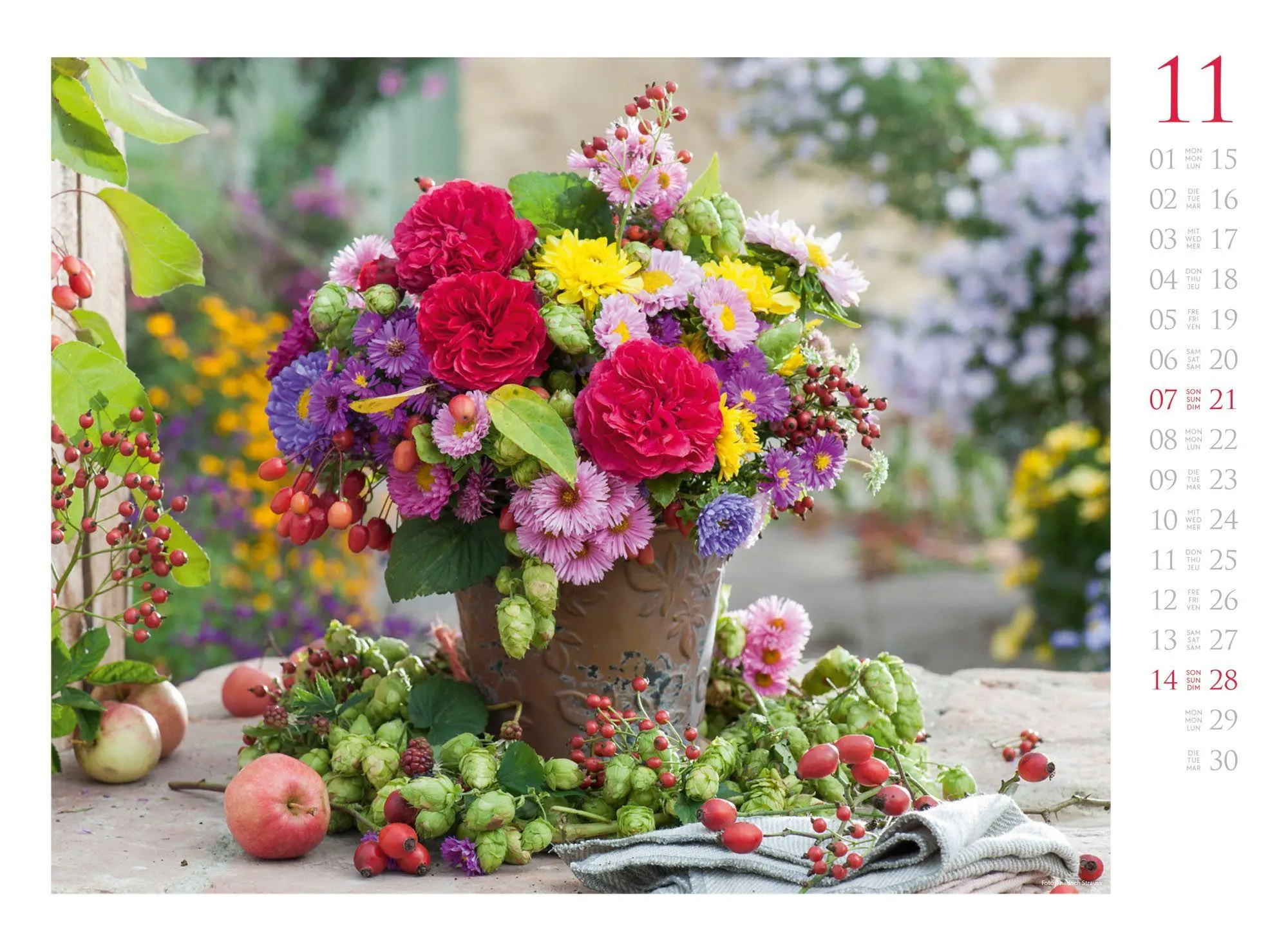 Bild: 9783838427300 | Blumenzauber Kalender 2027 | Ackermann Kunstverlag GmbH | Kalender