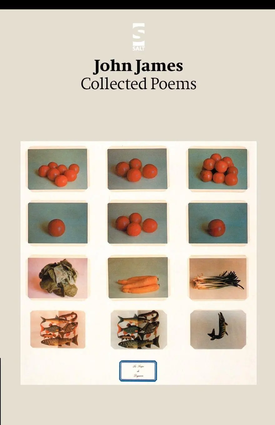 Cover: 9781876857400 | Collected Poems | John James | Taschenbuch | Kartoniert / Broschiert