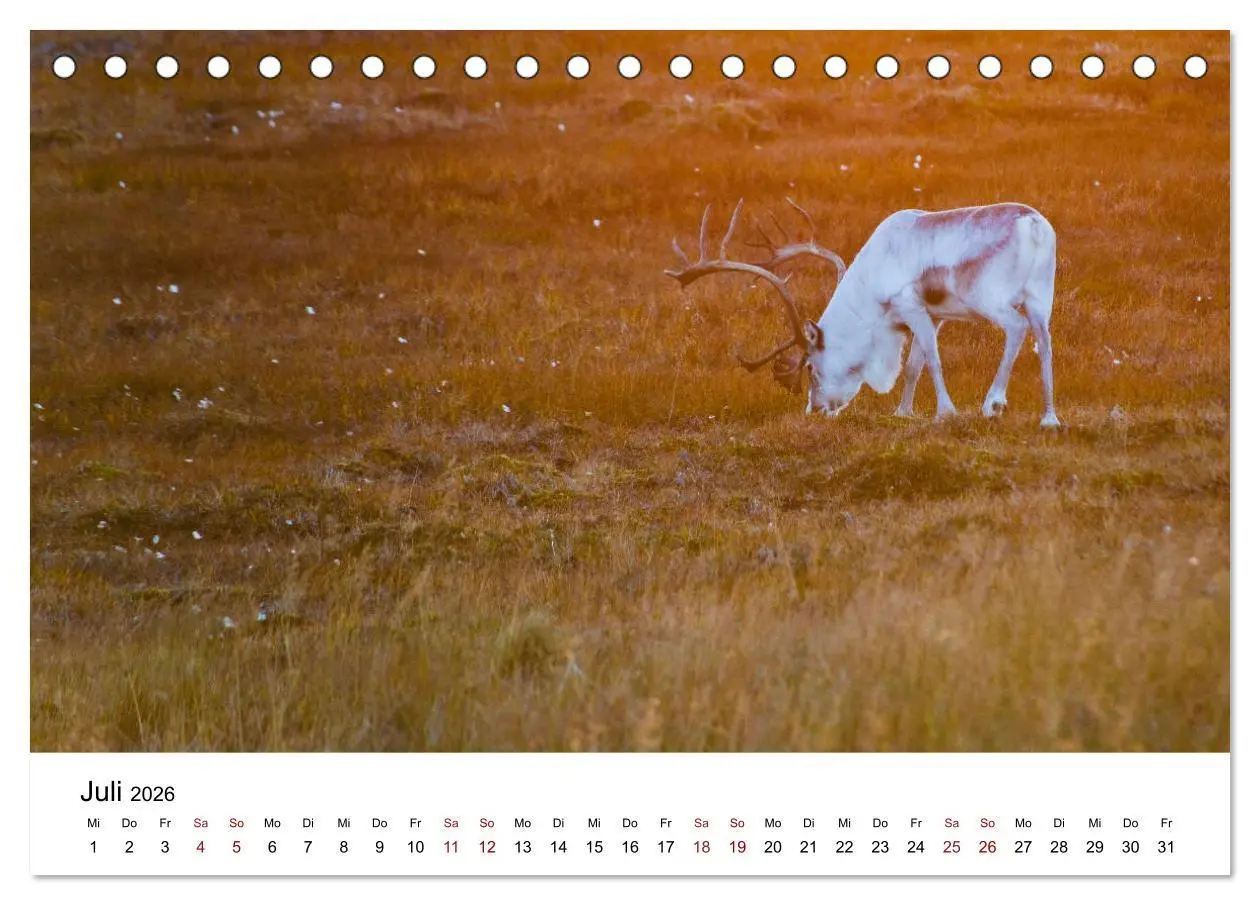Bild: 9783457887400 | Skandinavien - Hoch im Norden (Tischkalender 2026 DIN A5 quer),...