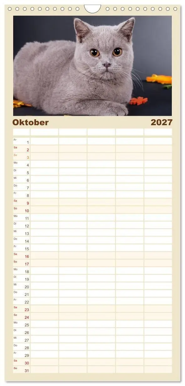 Bild: 9783594337400 | Familienplaner 2027 - Britisch Kurzhaar Katzen mit 5 Spalten...