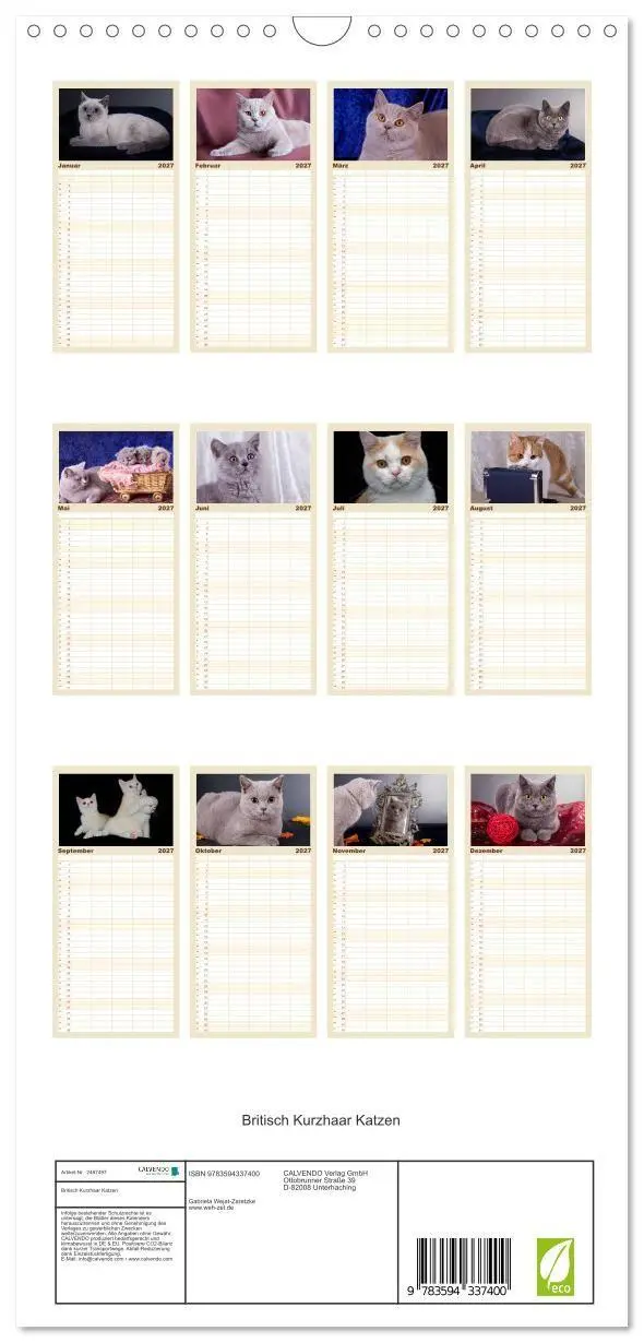 Bild: 9783594337400 | Familienplaner 2027 - Britisch Kurzhaar Katzen mit 5 Spalten...