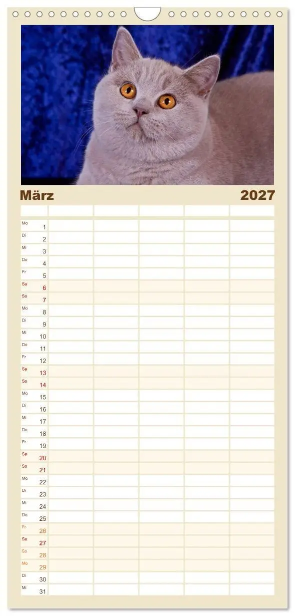 Bild: 9783594337400 | Familienplaner 2027 - Britisch Kurzhaar Katzen mit 5 Spalten...