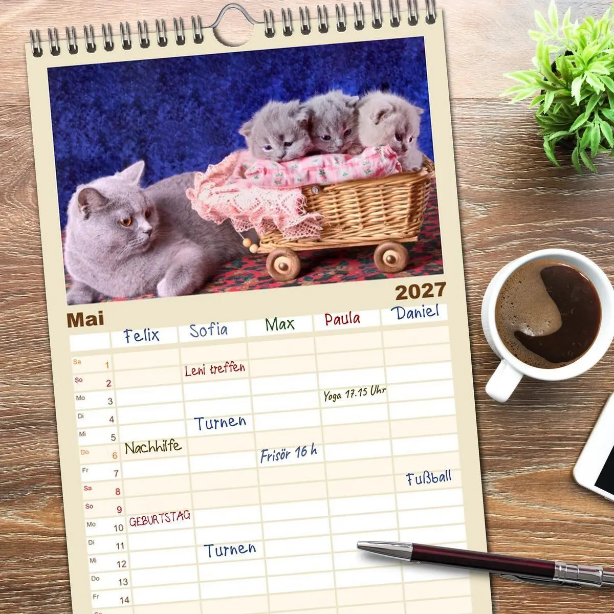 Bild: 9783594337400 | Familienplaner 2027 - Britisch Kurzhaar Katzen mit 5 Spalten...