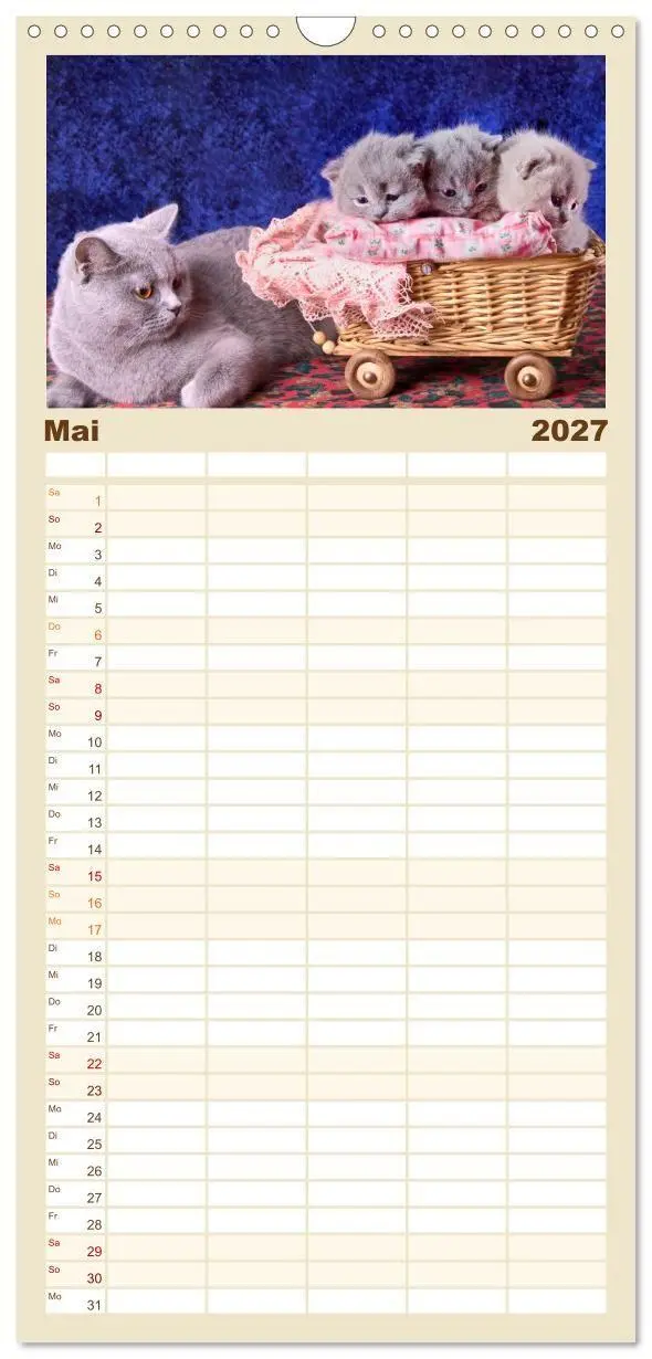 Bild: 9783594337400 | Familienplaner 2027 - Britisch Kurzhaar Katzen mit 5 Spalten...