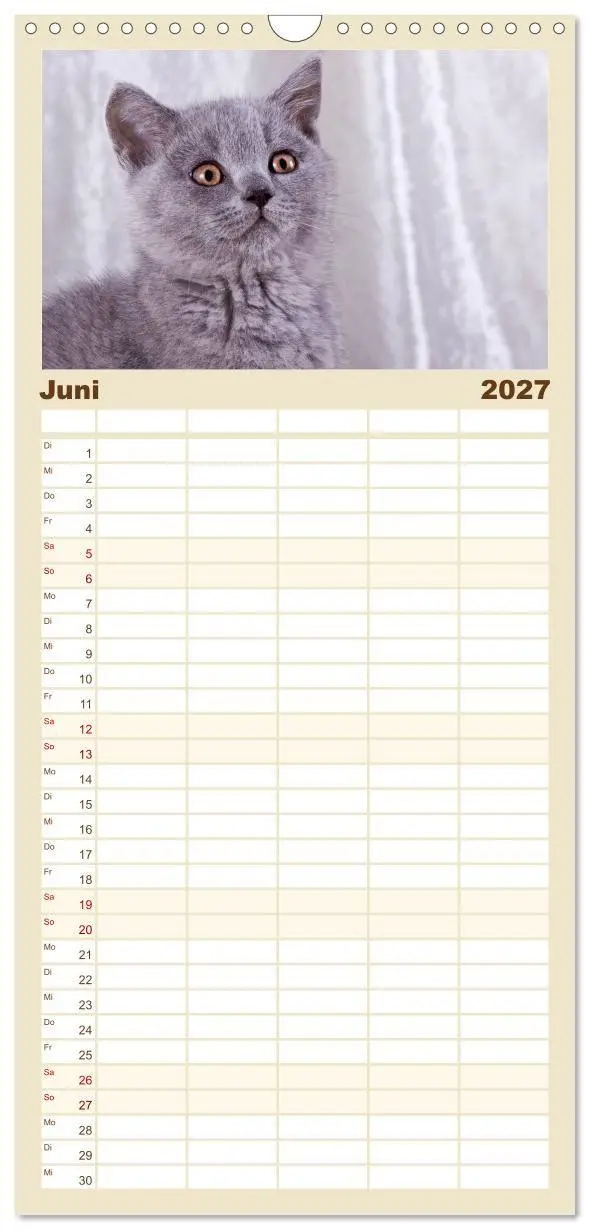 Bild: 9783594337400 | Familienplaner 2027 - Britisch Kurzhaar Katzen mit 5 Spalten...