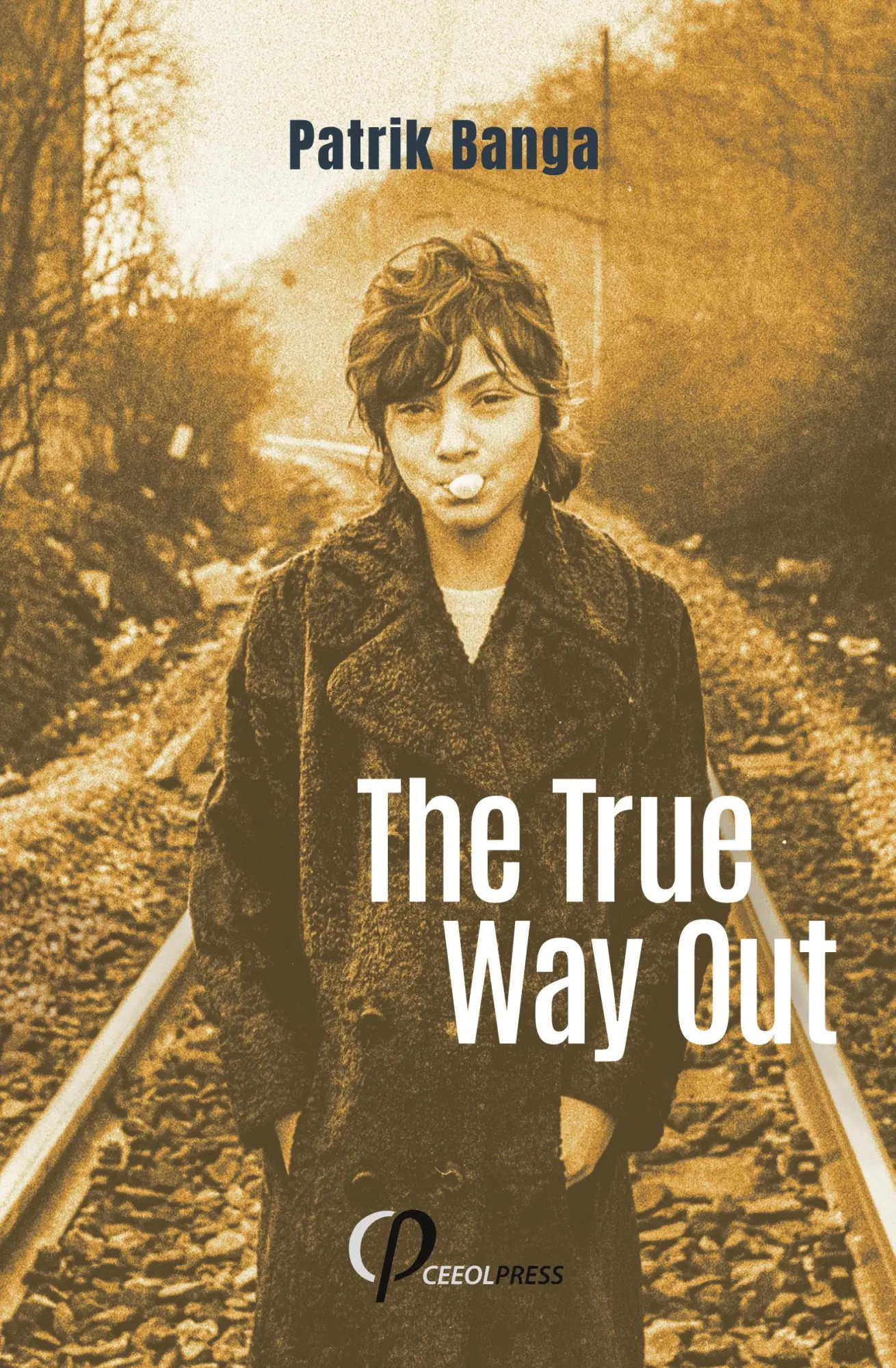 Cover: 9783949607400 | The True Way Out | Patrik Banga | Taschenbuch | Englisch | 2025