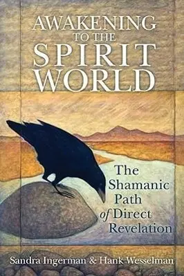 Cover: 9781591797500 | Awakening to the Spirit World | The Shamanic Path of Direct Revelation