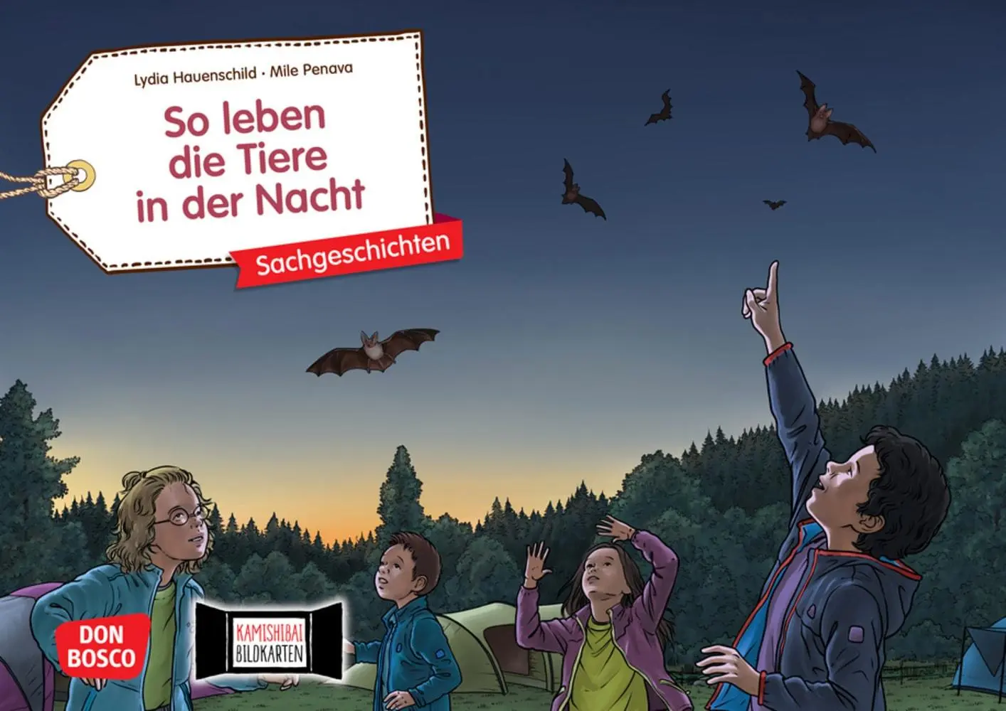 Cover: 4260179517600 | So leben die Tiere in der Nacht. Kamishibai Bildkartenset | Box | 2021