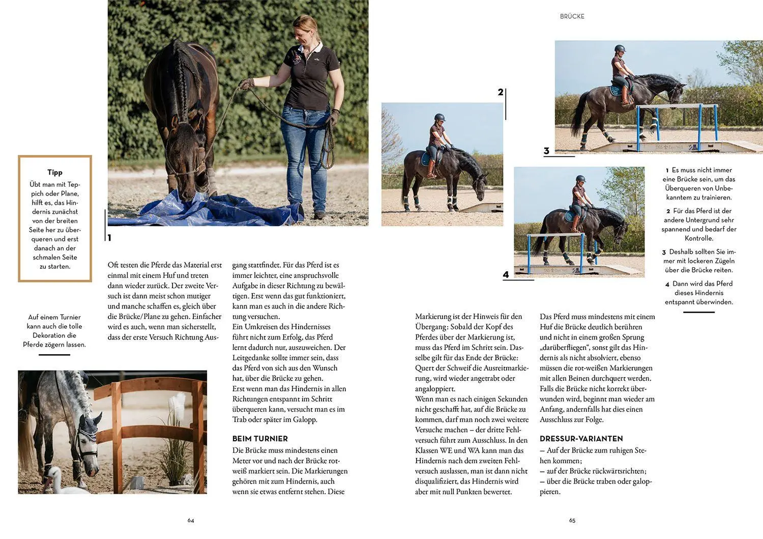 Bild: 9783440177600 | Working Equitation | Spaß und Motivation - Dressur einmal anders