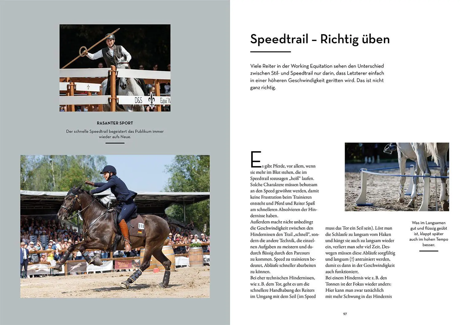 Bild: 9783440177600 | Working Equitation | Spaß und Motivation - Dressur einmal anders