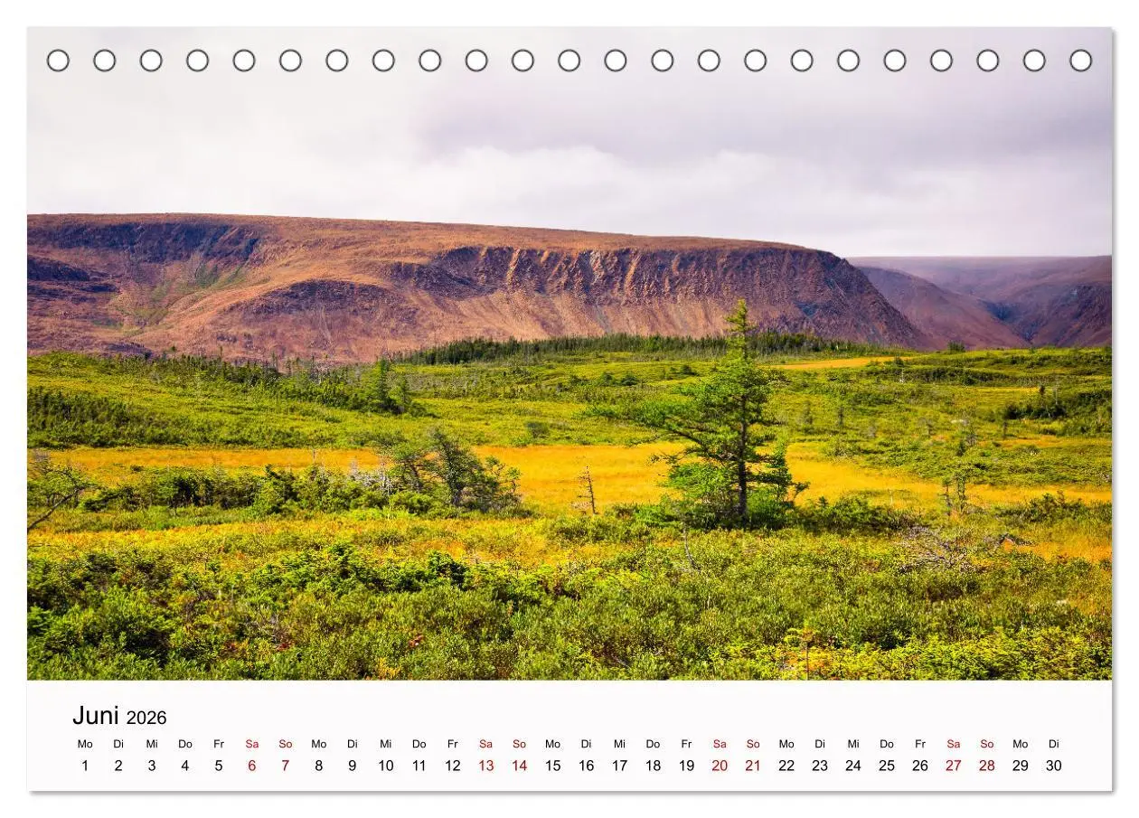 Bild: 9783457487600 | Neufundland - wilde Schönheit im Atlantik (Tischkalender 2026 DIN...