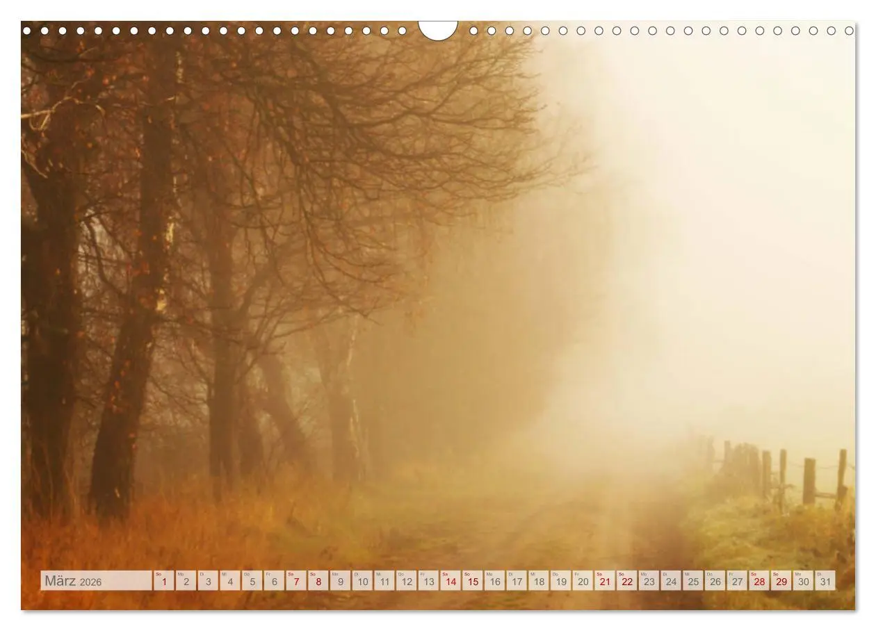 Bild: 9783457937600 | Natur-Paradies Mecklenburgische Schweiz (Wandkalender 2026 DIN A3...