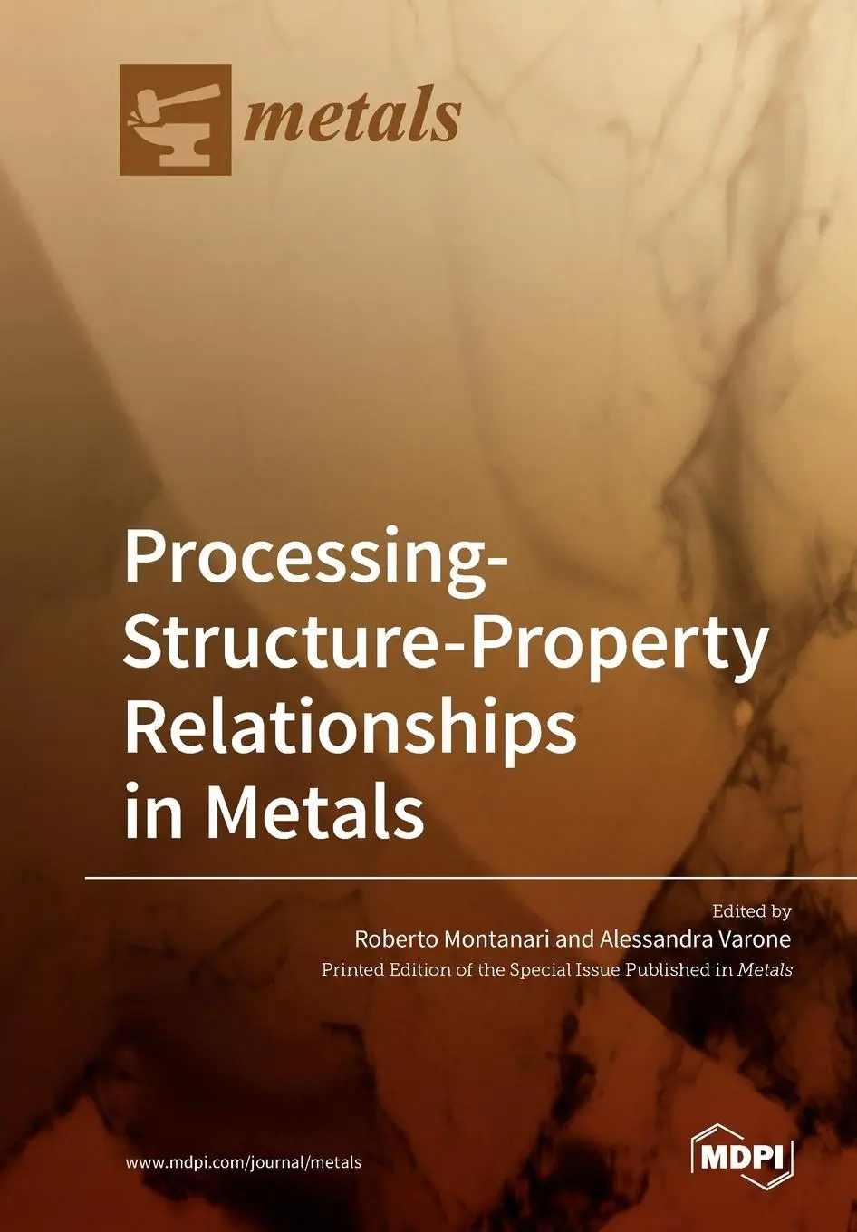 Cover: 9783039217700 | Processing-Structure-Property Relationships in Metals | Taschenbuch