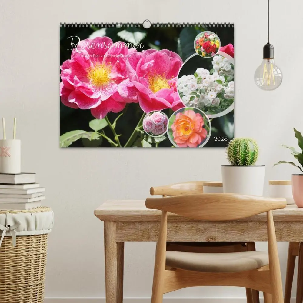 Bild: 9783457167700 | Rosensommer (Wandkalender 2025 DIN A3 quer), CALVENDO Monatskalender