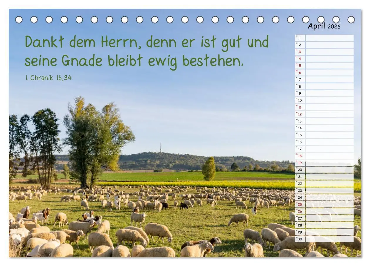 Bild: 9783457927700 | Heimat Hesselberg (Tischkalender 2026 DIN A5 quer), CALVENDO...
