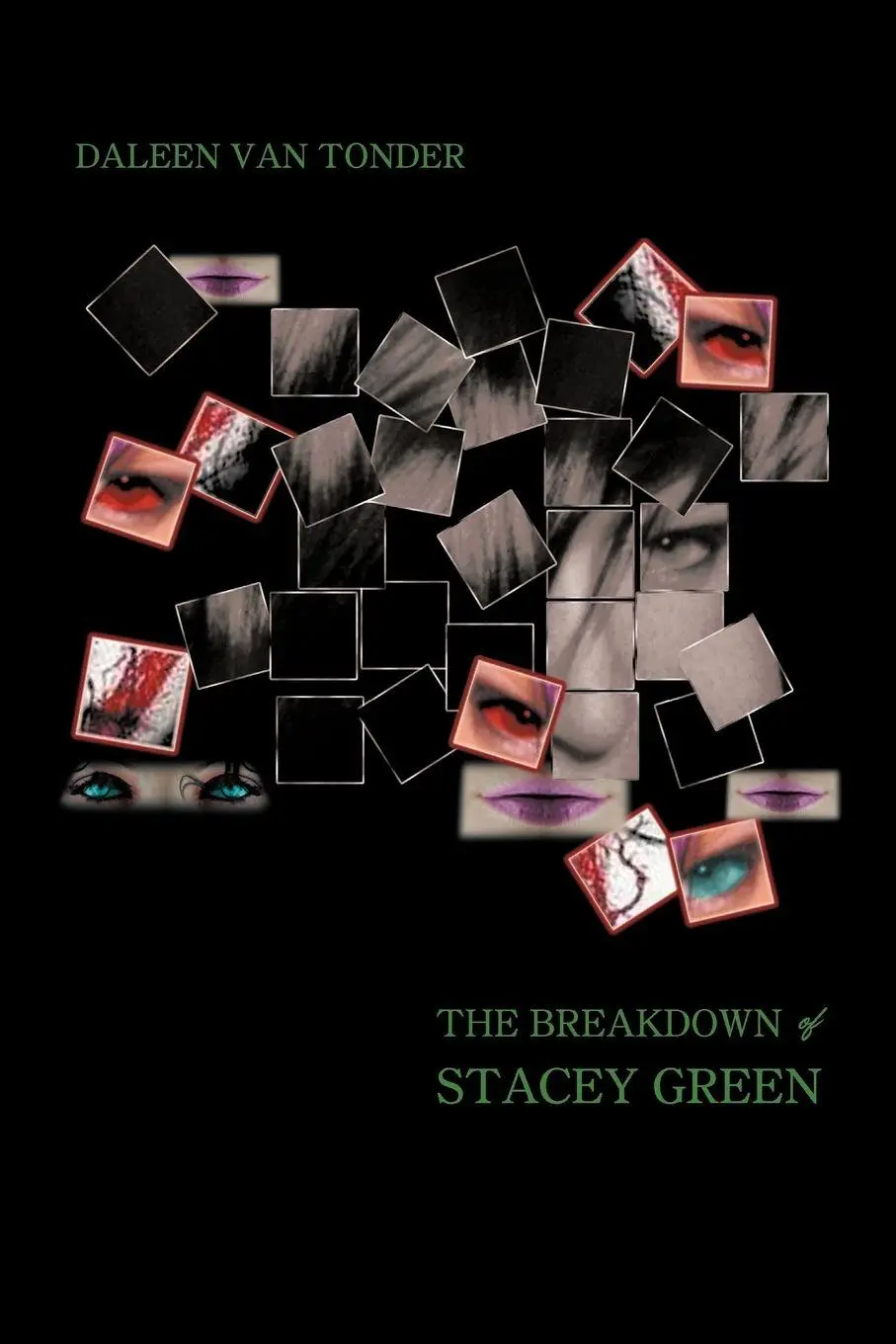 Cover: 9781479757800 | The Breakdown of Stacey Green | Daleen Van Tonder | Taschenbuch | 2012