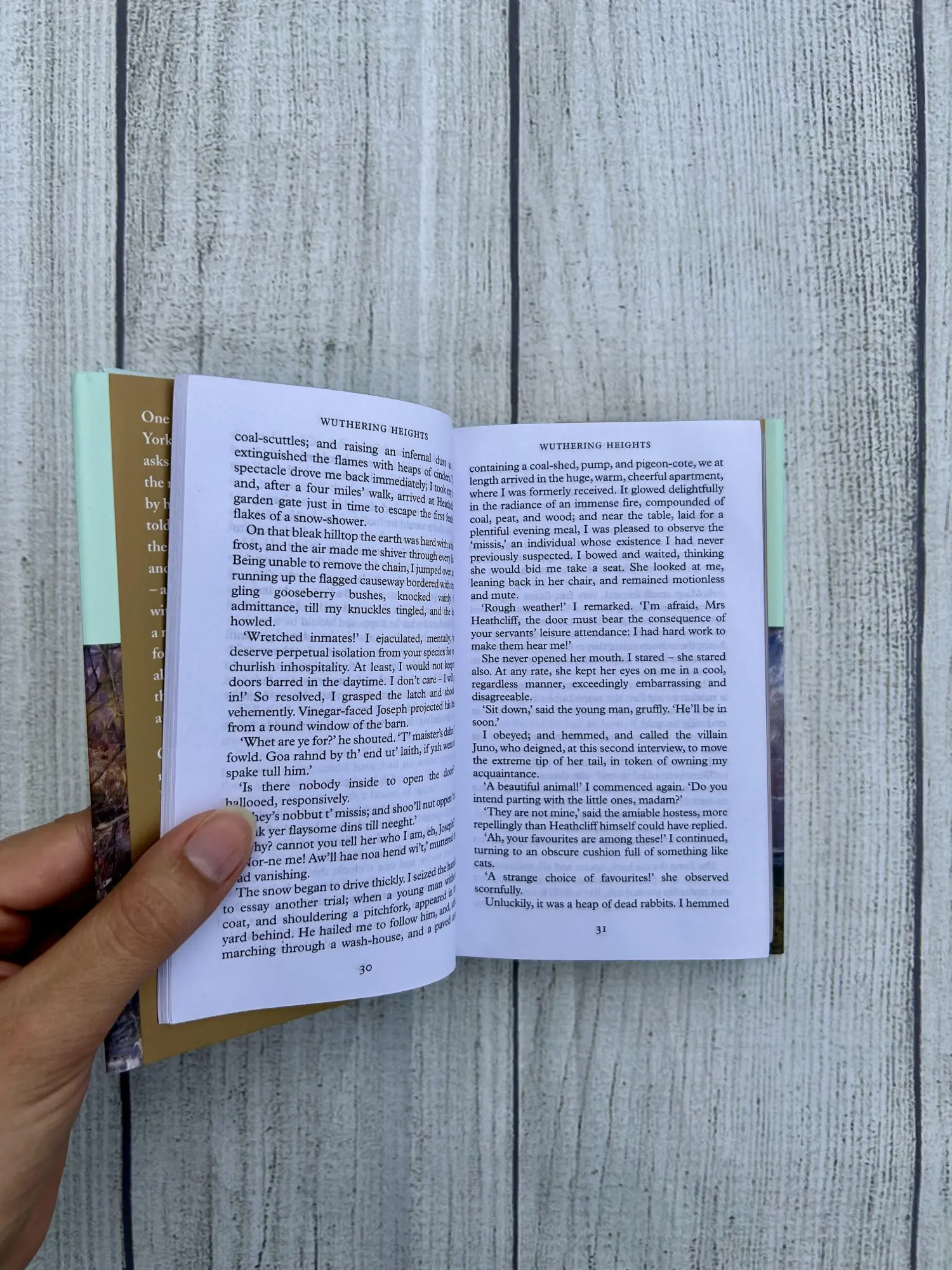 Bild: 9781509827800 | Wuthering Heights | Emily Bronte | Buch | With dust jacket | 416 S.